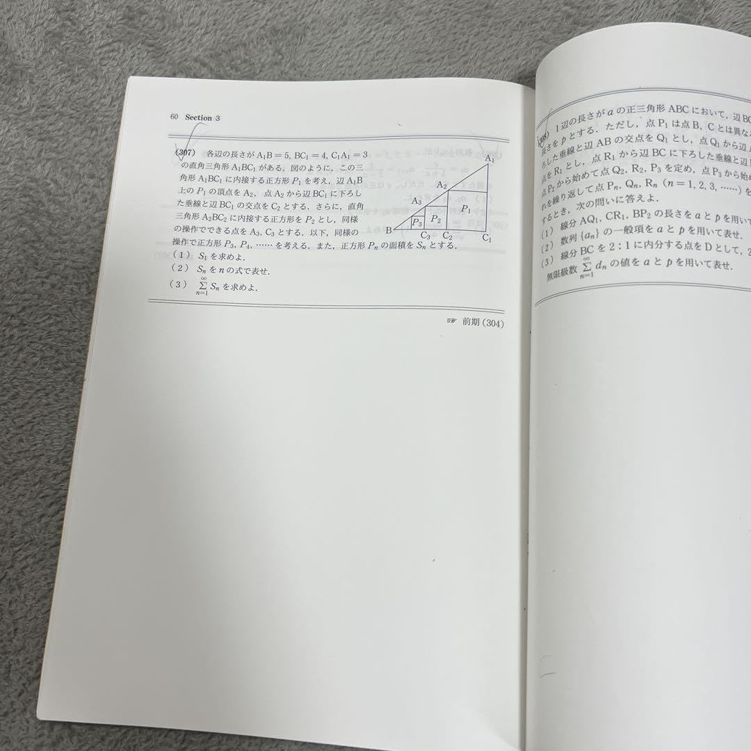 Amazon.co.jp: 駿台テキスト 数学ZBh 2024年度後期 : おもちゃ