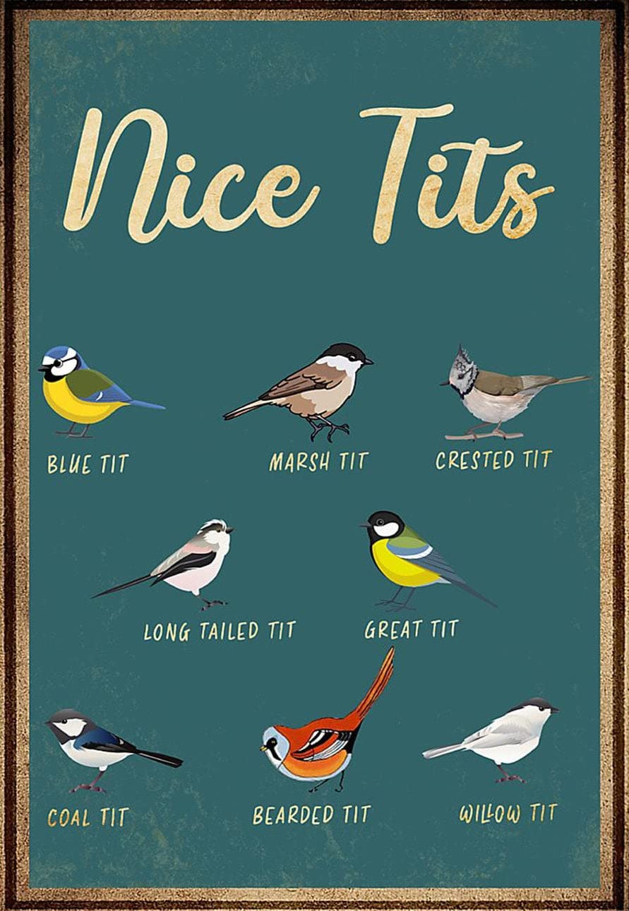 Buywell Nice Tits Funny Bird ¨C Blue Tit, Marsh Tit, Crested Tit, Long Tailed Tit, Great Tit, Coal Tit Decor Poster Wall Art Tin Sign Decor Metal Sign Poster 8X12 Inches