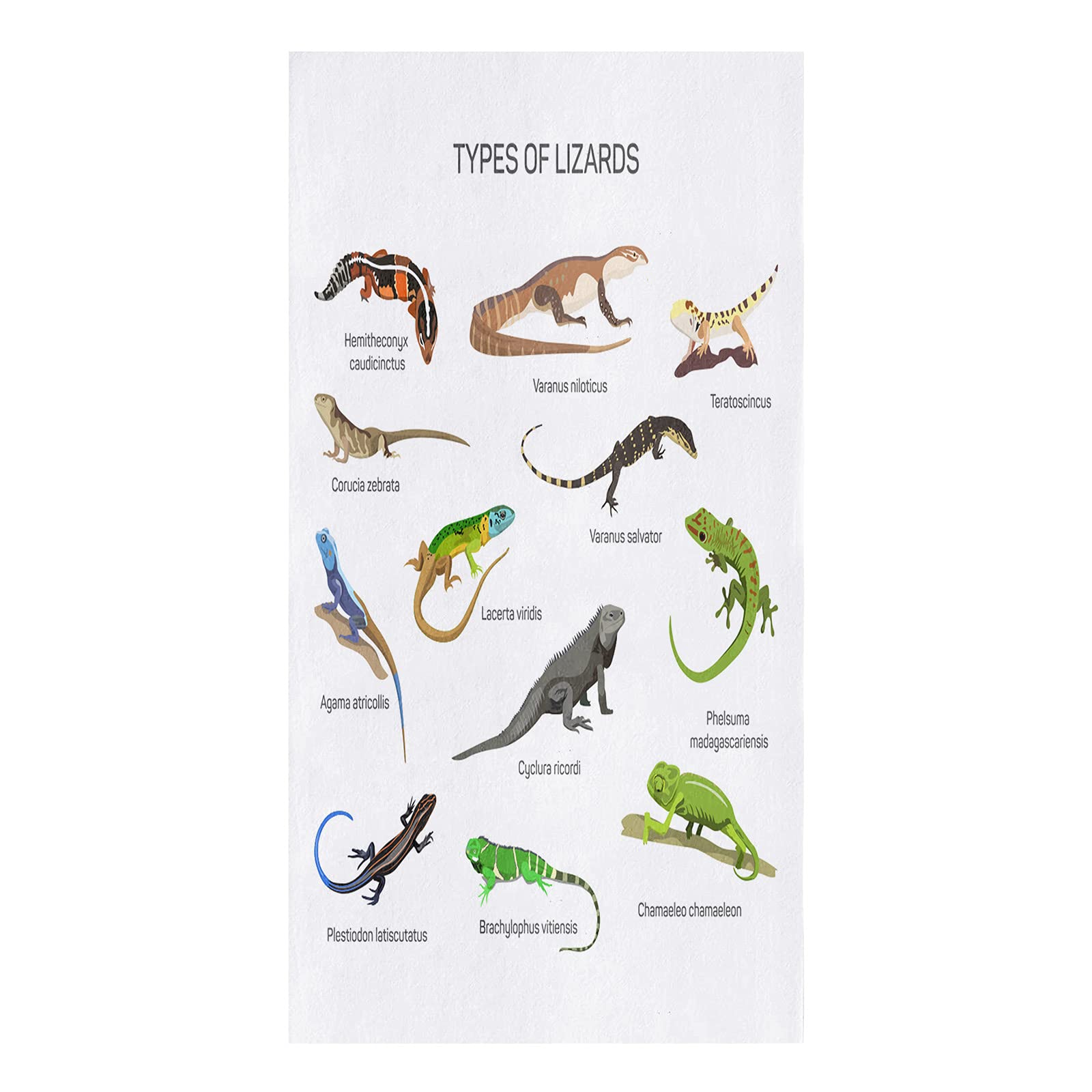 RainbowDay Cotton Kitchen Towels Super Soft Absorbent Kitchen Dish Towels for Drying Dishes/Hand/Tea/Bar Towels Set of Reptile Icons Types of Lizards Cleaning Kitchen Towels 1 Pack, 18x28 Inch