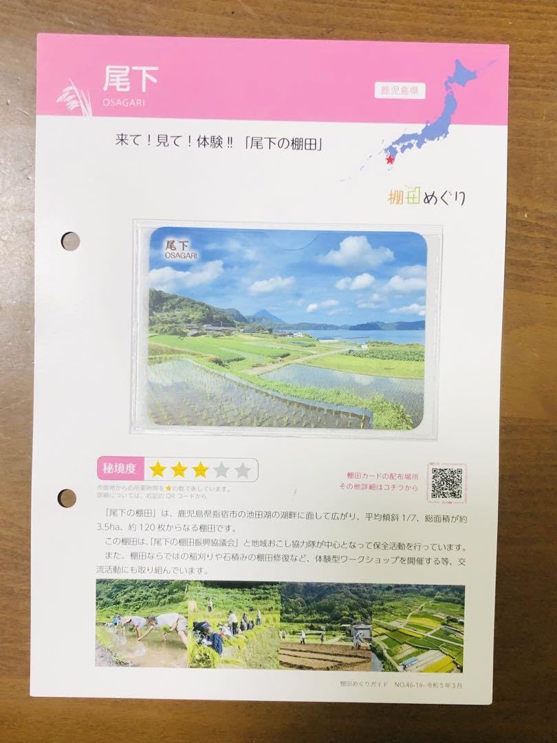 Amazon.co.jp: 棚田カード 指宿市鹿児島県 尾下の棚田 台紙 : おもちゃ