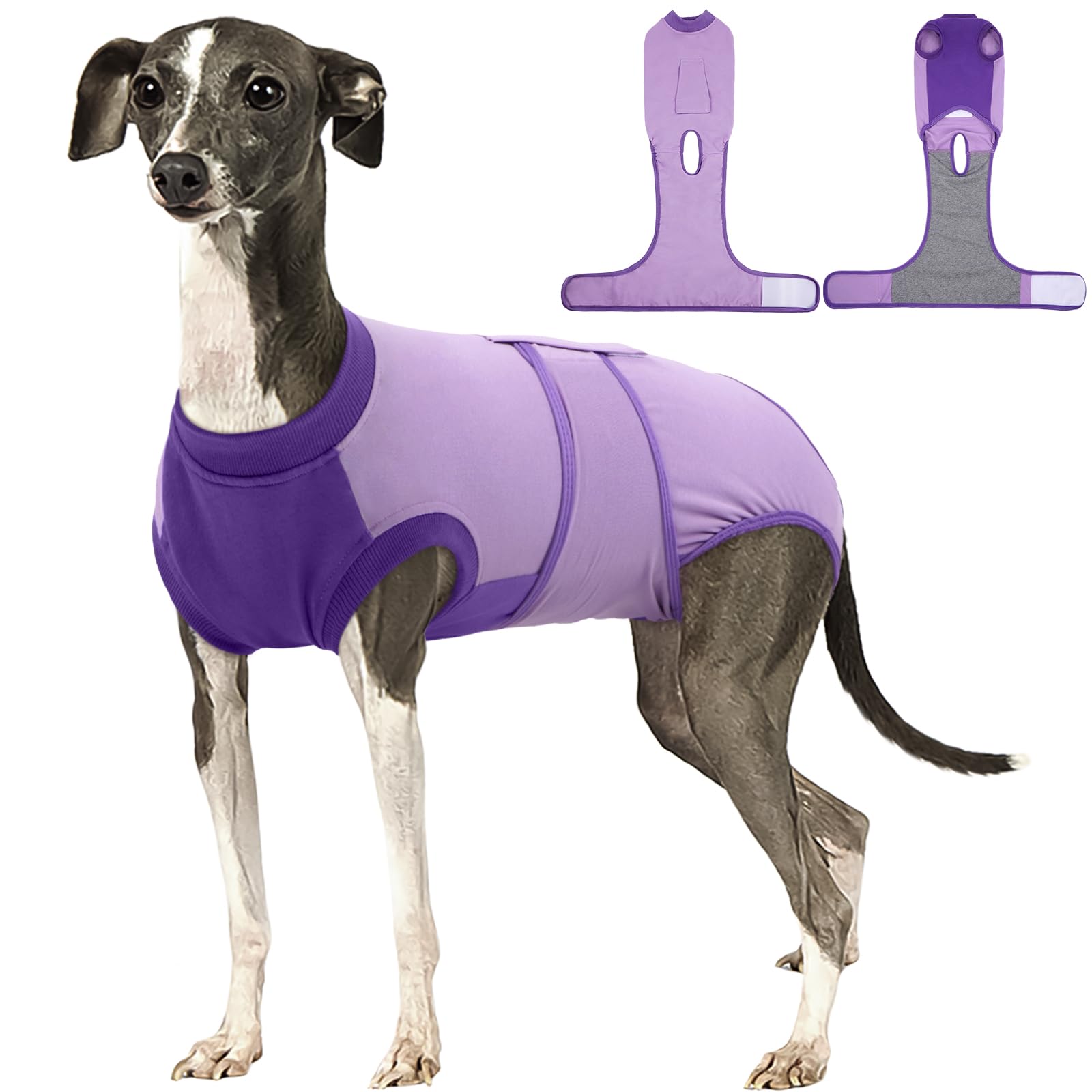 Kuoser Dog Recovery Suit, Female Male Spay Neuter Surgery Suit, Purple, L