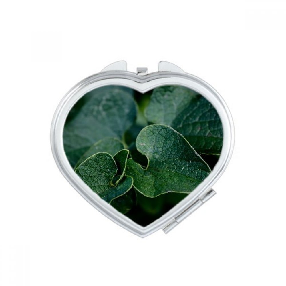 Miroir de poche compact au motif de feuille imprimée pour retouches maquillage au quotidien
