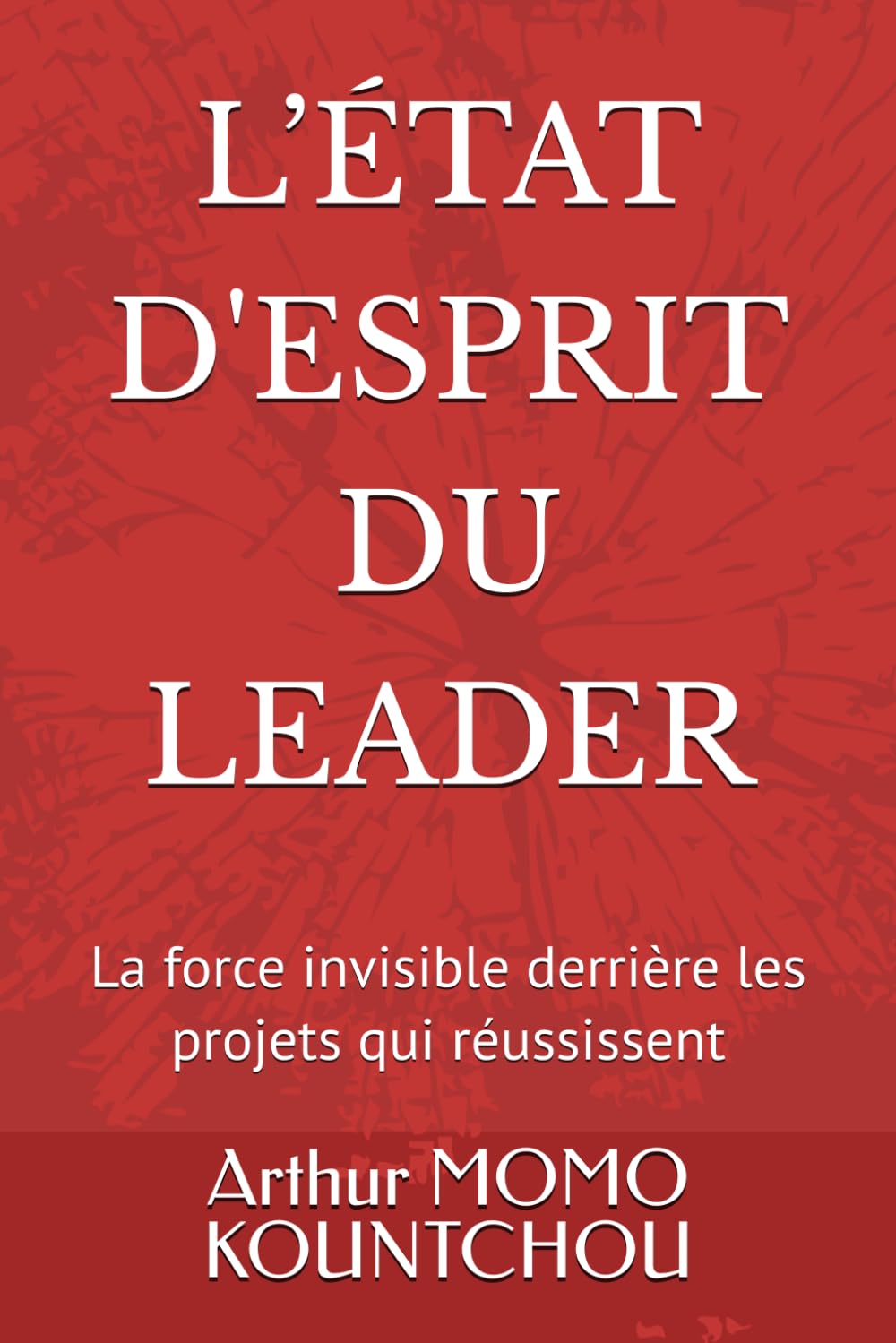 L’état d’esprit du leader: La force invisible derrière les projets qui réussissent (Les Clés de l’Épanouissement)
