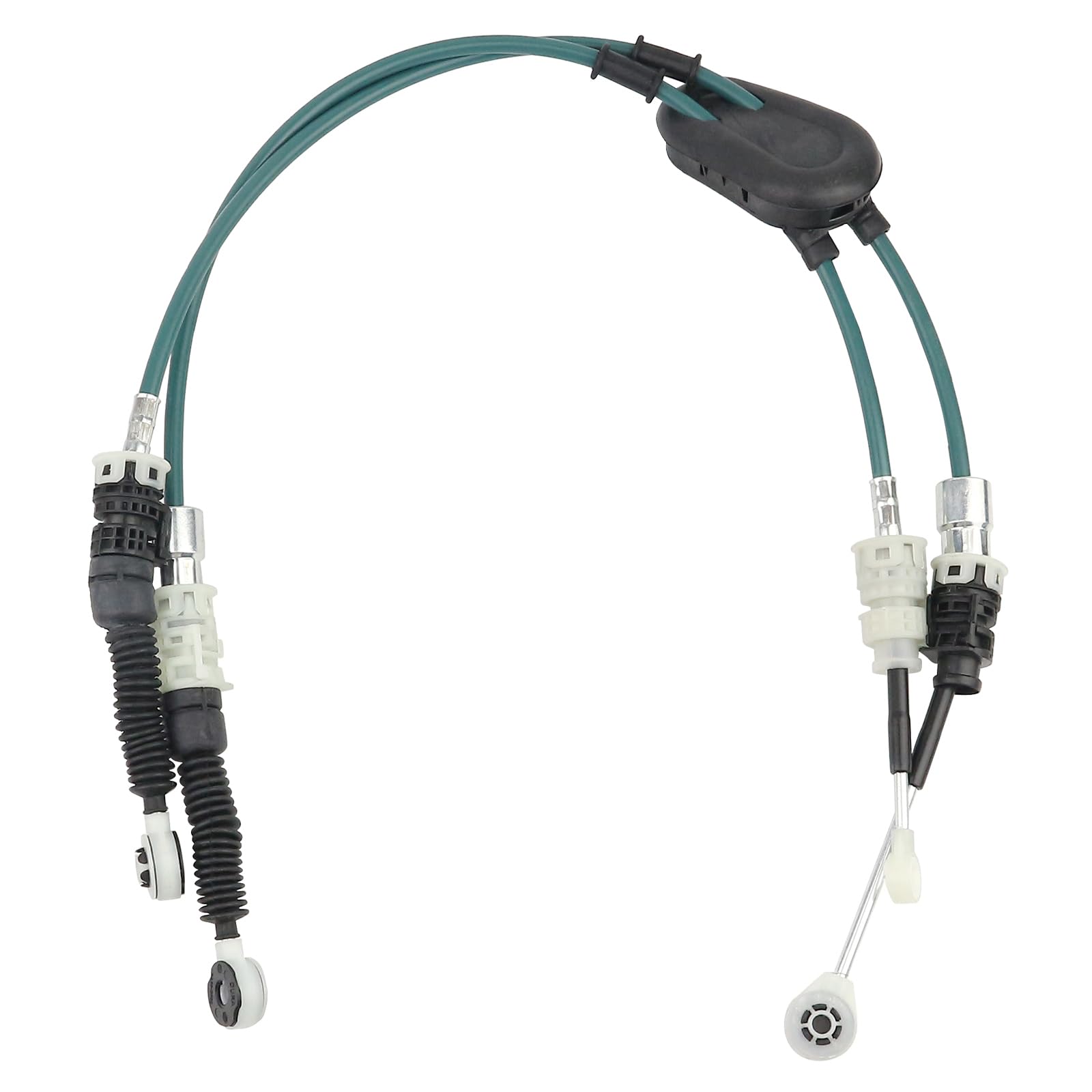 WHAT WE WANT TAKIBIDAIMITAINATABLE (ナラ) WWW_TAKIBIDAIMITAINATABLE – WHAT WE WANT