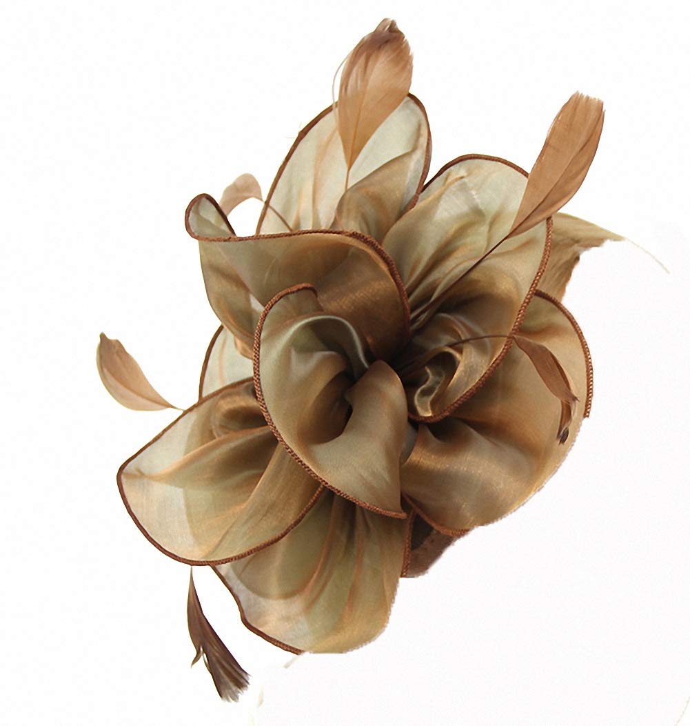 Women's Fascinators Hat Hair Clip Feather Wedding Bridal Cocktail Hat Derby Church Banquet for Girls