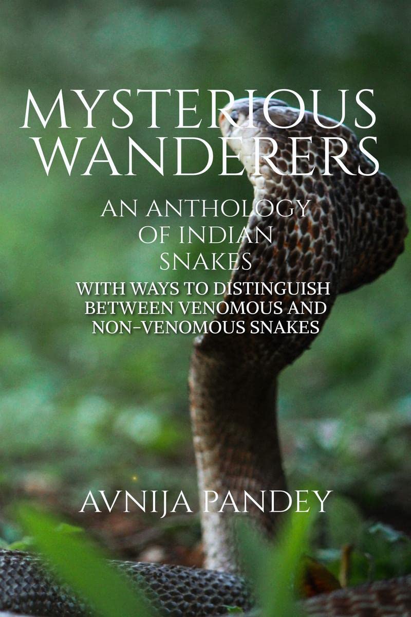 Mysterious Wanderers