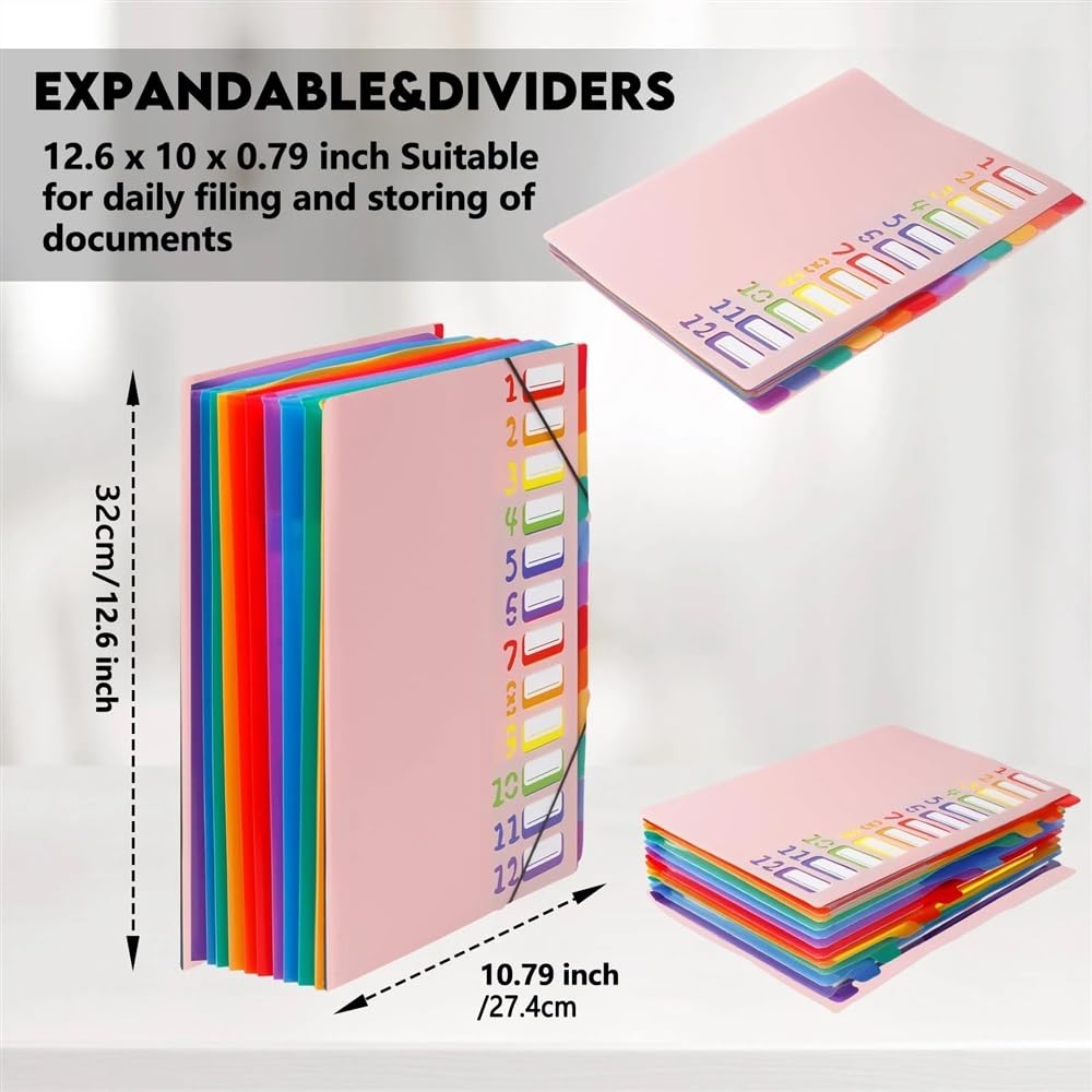 Organizzatore Formato A4 Lettera, Organizer for cartelle espandibili in plastica mensile Resistente con 12 Tasche espandibili per Ufficio(Pink)