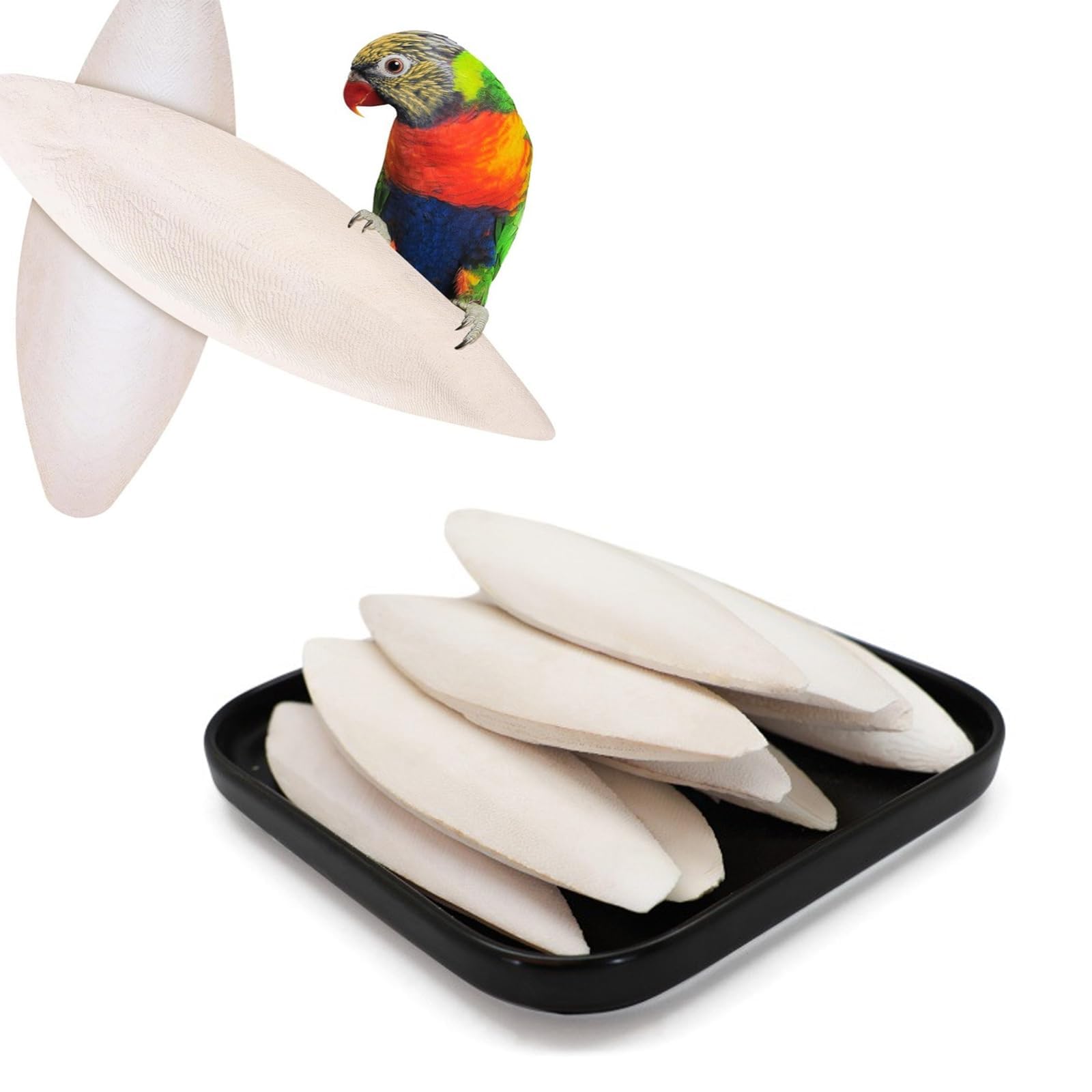 ZQSFPK Cuttlefish Bone, 12 Pieces Natural Cuttlebone for Birds, Tortoises and Reptiles, Calcium Supplement for Pets, Assorted Sizes (5-7cm, 8-9cm, 9-11cm, 12-13cm), DIY Pet Toys and Cage Pendant