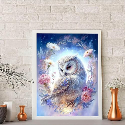 Image of HASTHIP Diamond Painting Kit, 11.8x15.7inch Owl Diamond Painting, 5D Diamond Painting Kit for Adults & Kids, Suitable for Home Leisure and Wall Decoration, Gift for Kids and Adults