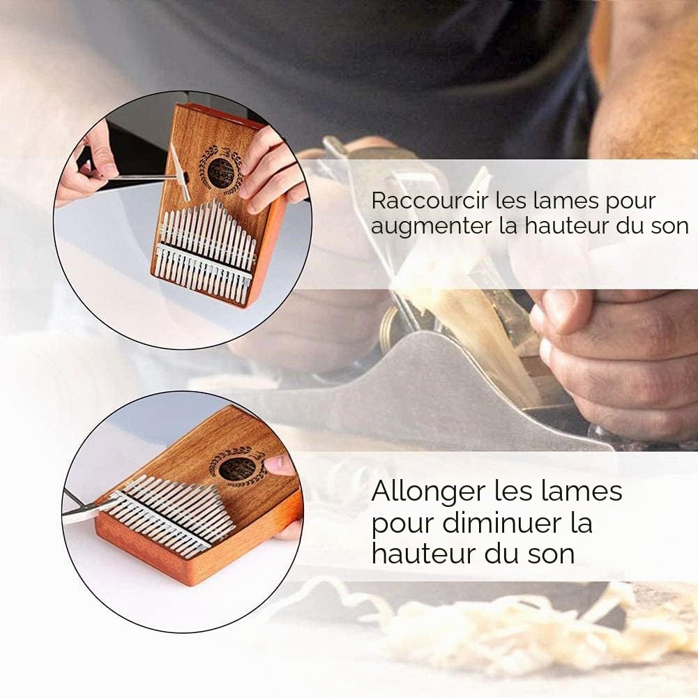 Everjoys Kalimba Piano à pouces 17 touches, Marimbas à doigts portables avec sac de transport, livre de chansons rapide à apprendre, marteau d'accordage, kit tout-en-un