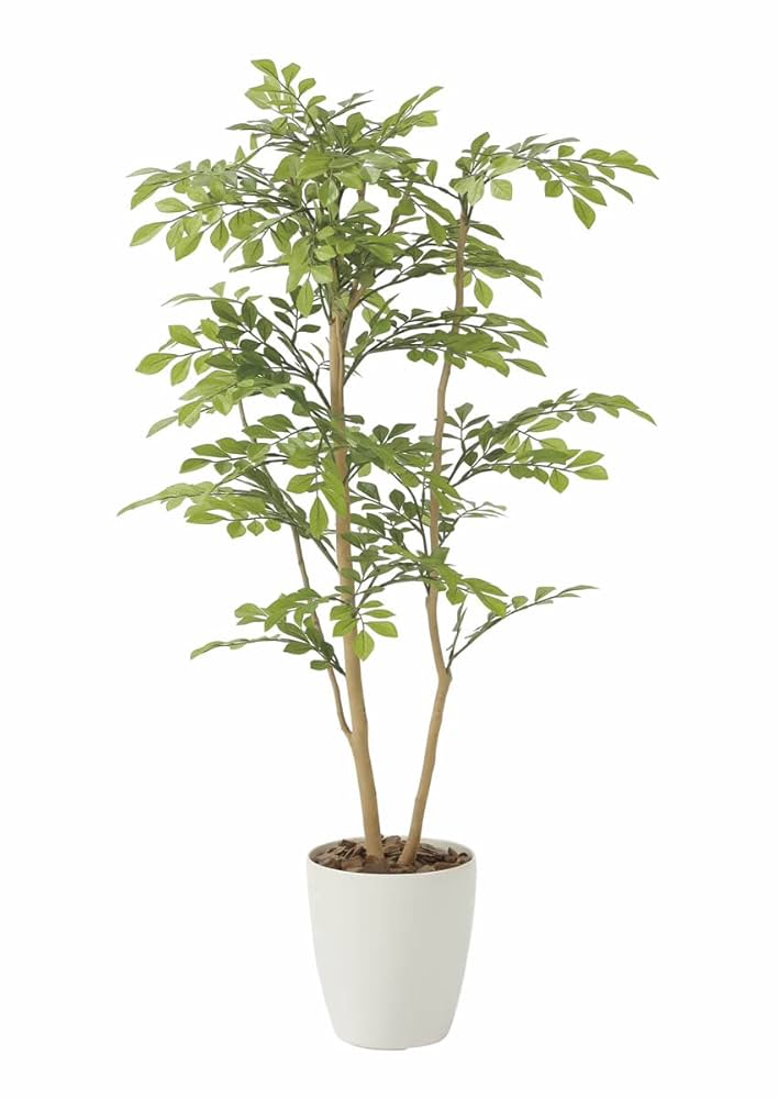光触媒　人工観葉植物　ウォールグリーン　フェイクグリーン　ライトトネリコ1.0 Amazon｜光触媒 人工観葉植物 光の楽園 ライトトネリコ 1.0m