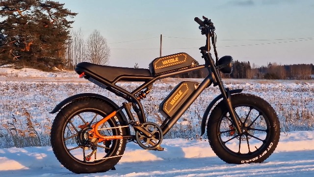 Bicicleta Eléctrica Engwe Bicicleta Elu00e9ctrica Plegable EP-2