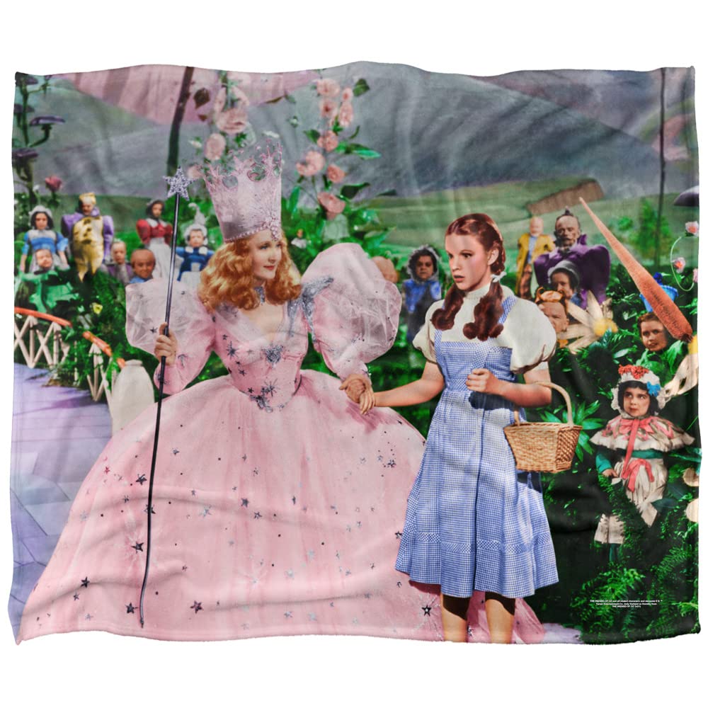 Amazon.com: The Wizard of Oz Stanley Desantis Vintage Dorothy and