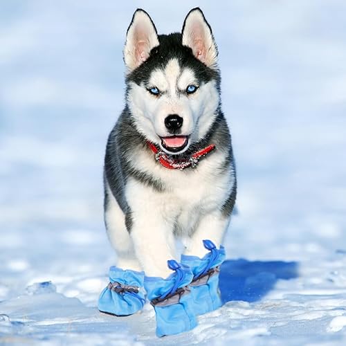 Miniatura 7 de UKCOCO Zapatos de perro para perros pequeños a medianos, botines de perro, protector de patas para pavimento caliente, botas de senderismo de nieve
