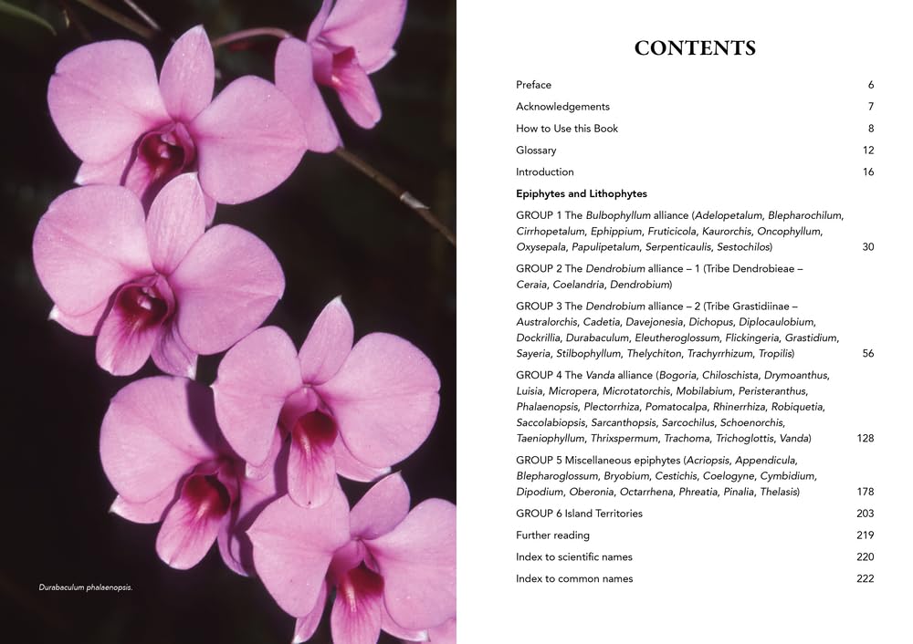 'Field Guide to Australian Orchids - Epiphytes: including the island territories