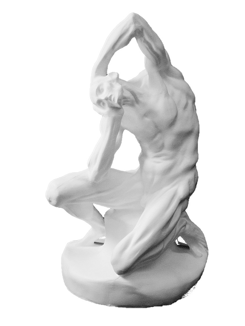 Amazon.co.jp: 石膏像 N－011 男子解剖坐像 H．27cm : ホーム