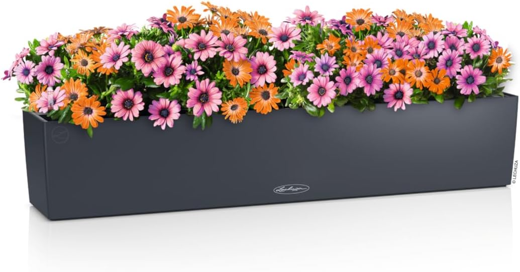 Lechuza BALCONERA Color 100 Slate, Self-Watering Window Box (Railing Planter), H7.5 L39.4 W7.5 in