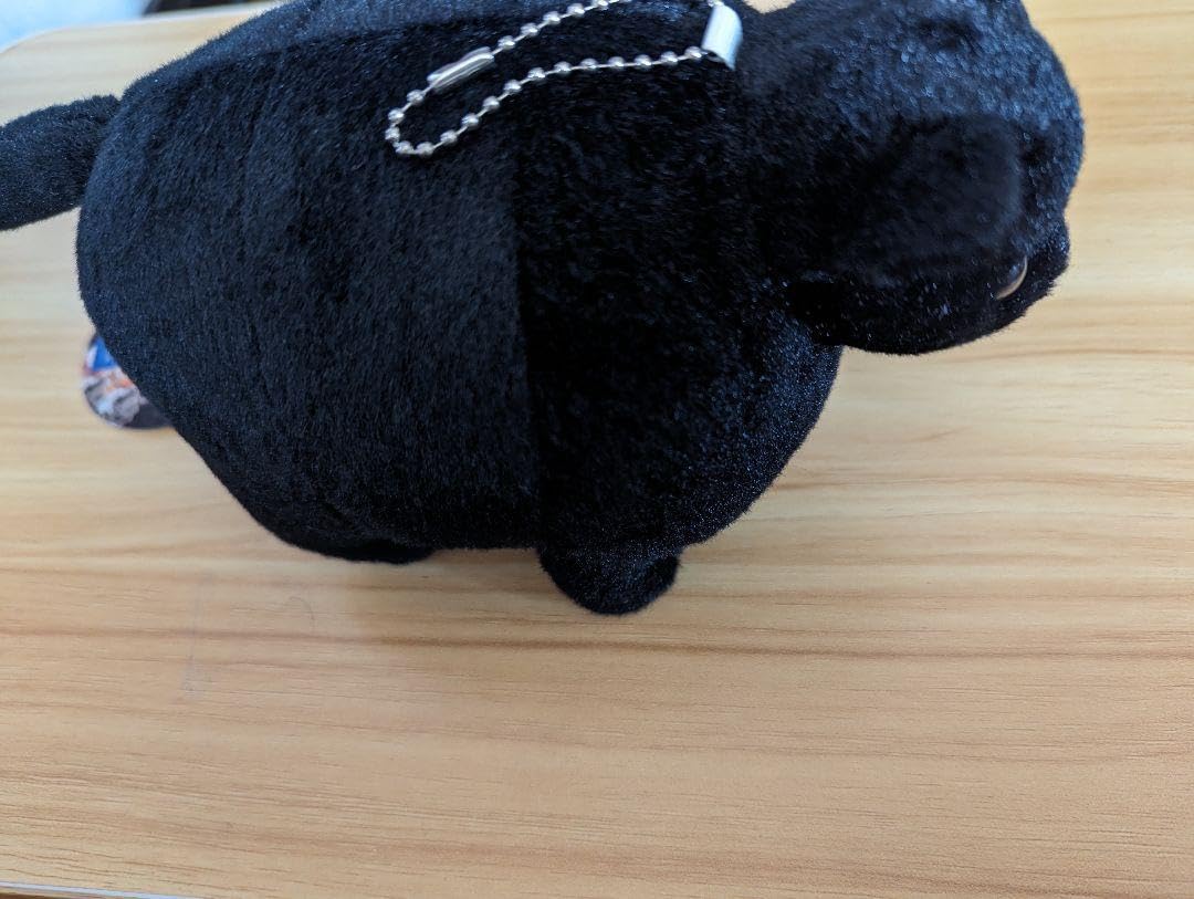 黒猫ちぃ Amazon.co.jp: ちいかわ 黒猫のマスコット ぬいぐるみ ちいかわ