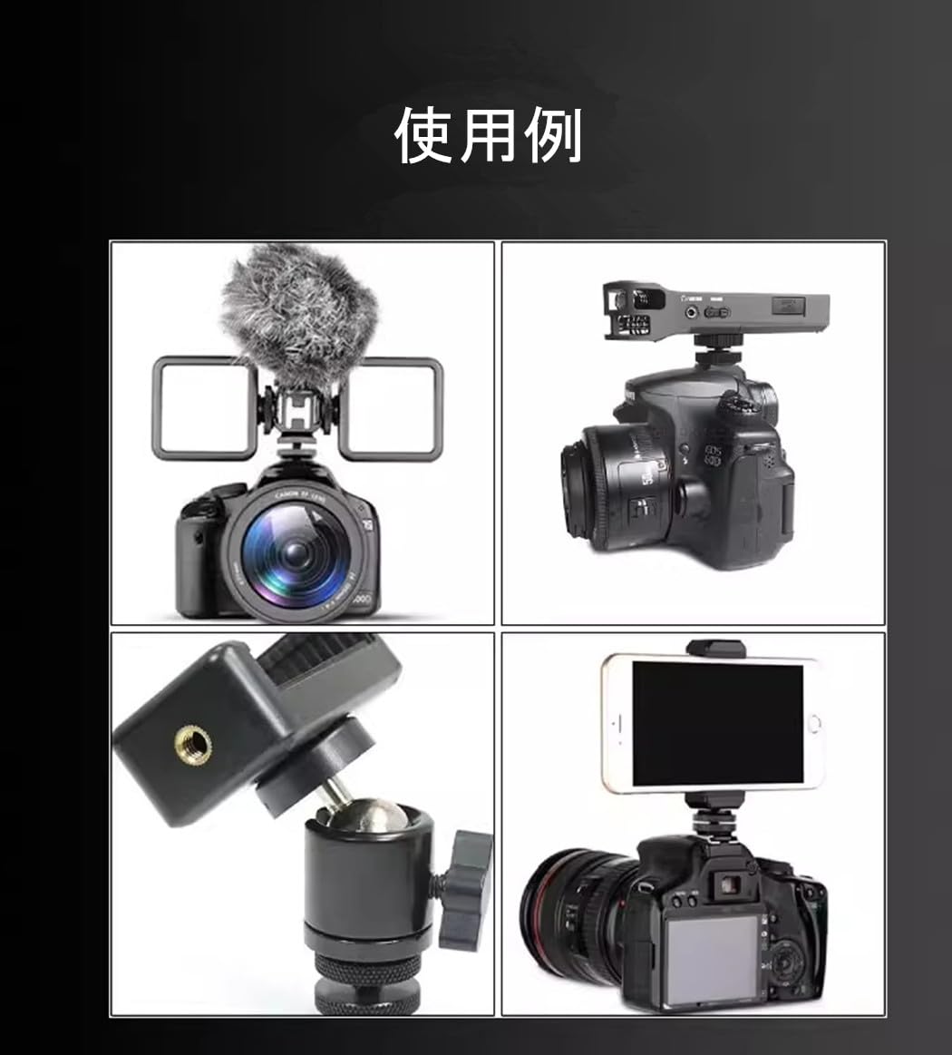 Amazon.co.jp: プロ 1/4インチ マウントネジアダプタ 三脚ネジ