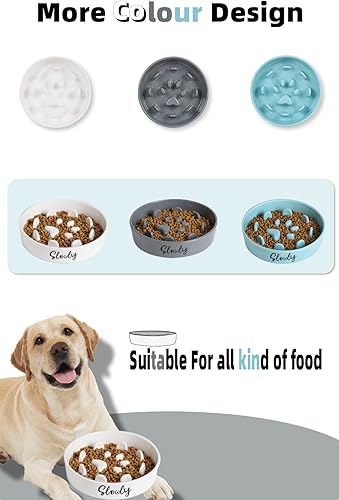 Miniatura 6 de Cuencos para perros de alimentación lenta, cuenco de cerámica de granja para razas pequeñas y medianas, color gris