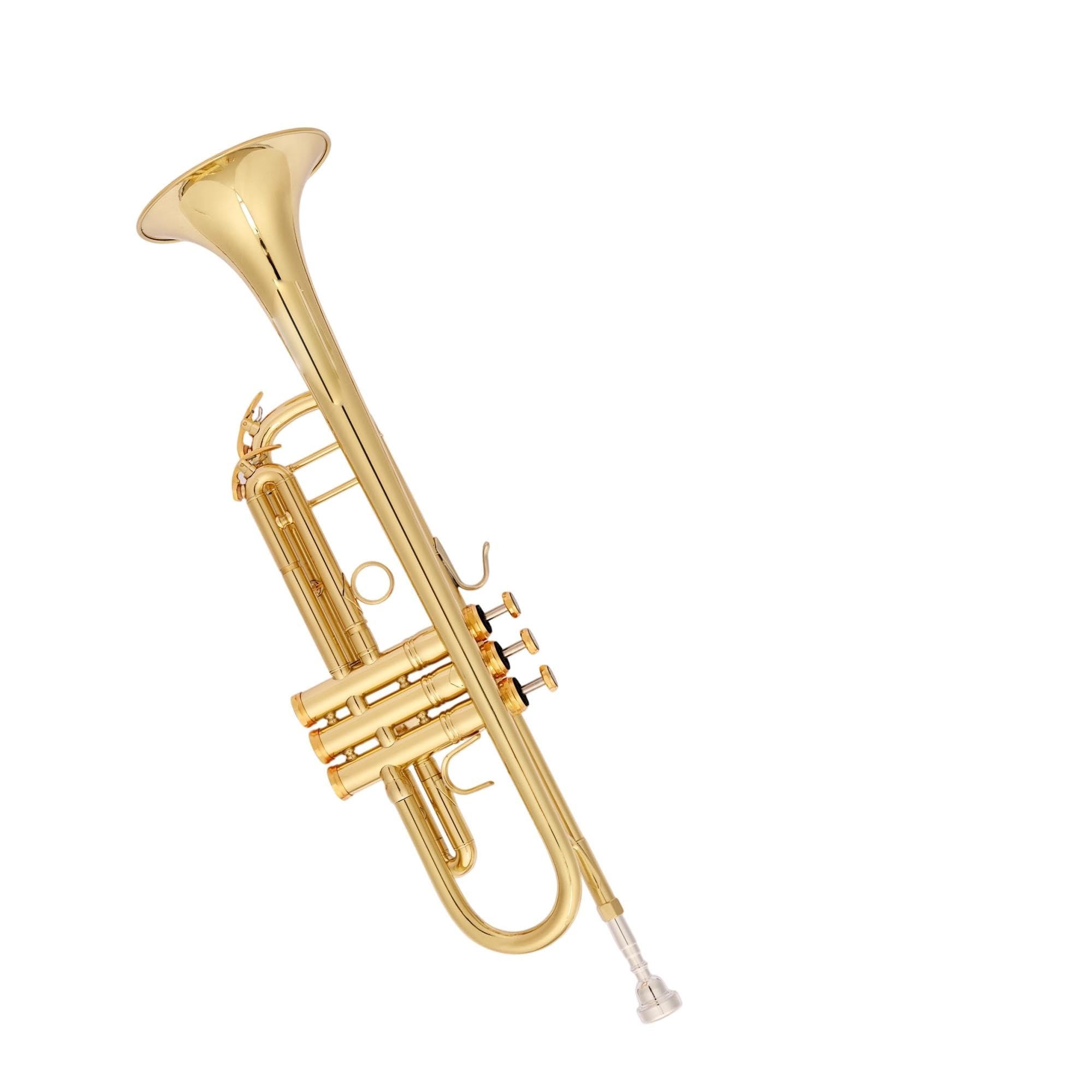 Professional Trumpet Trompeta en Sib para principiantes