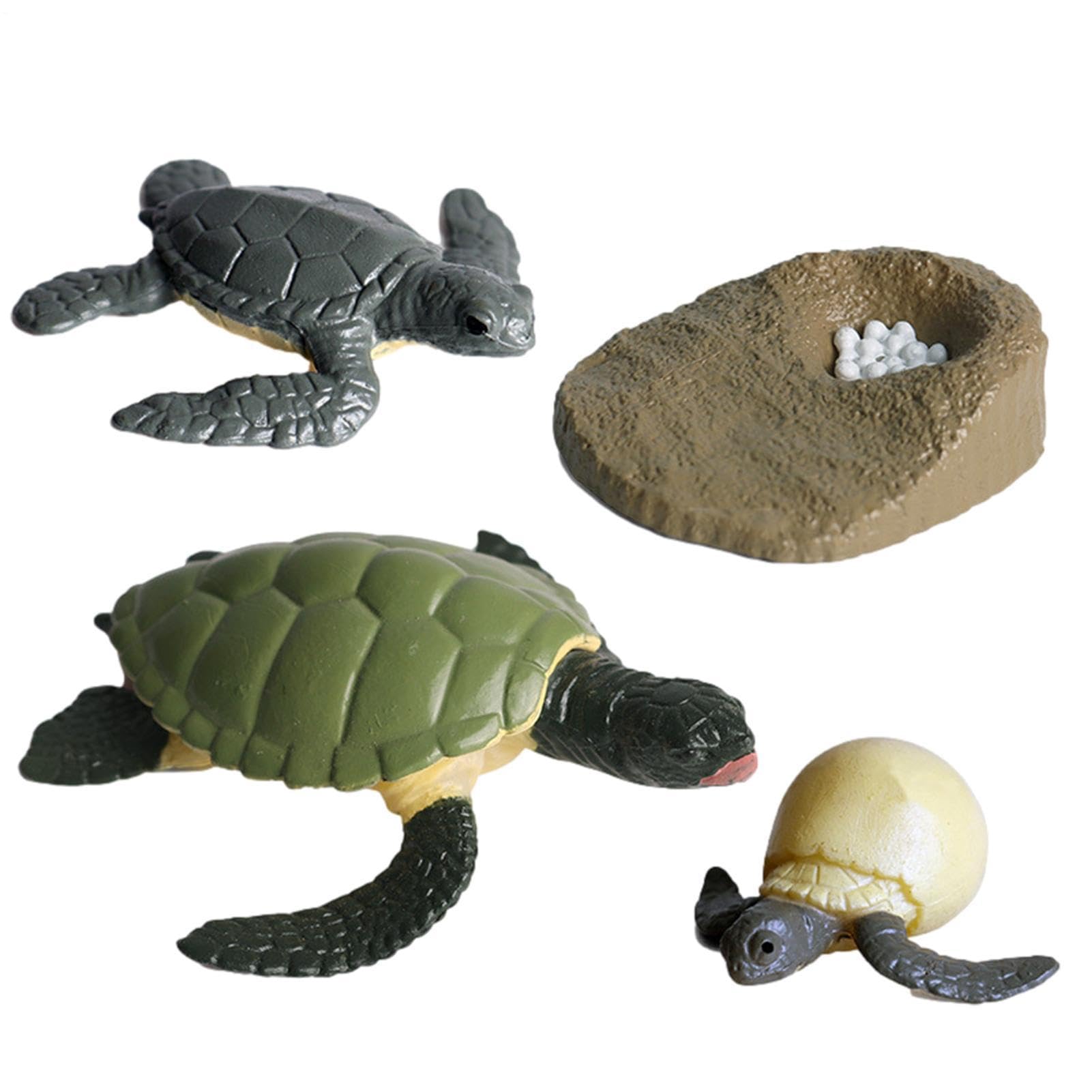 Frog Life Cycle Toy, Simulated Butterfly Life Cycle Figurines, Realistic Frog Growth Educational Toys, For Science Learning Teaching Resources