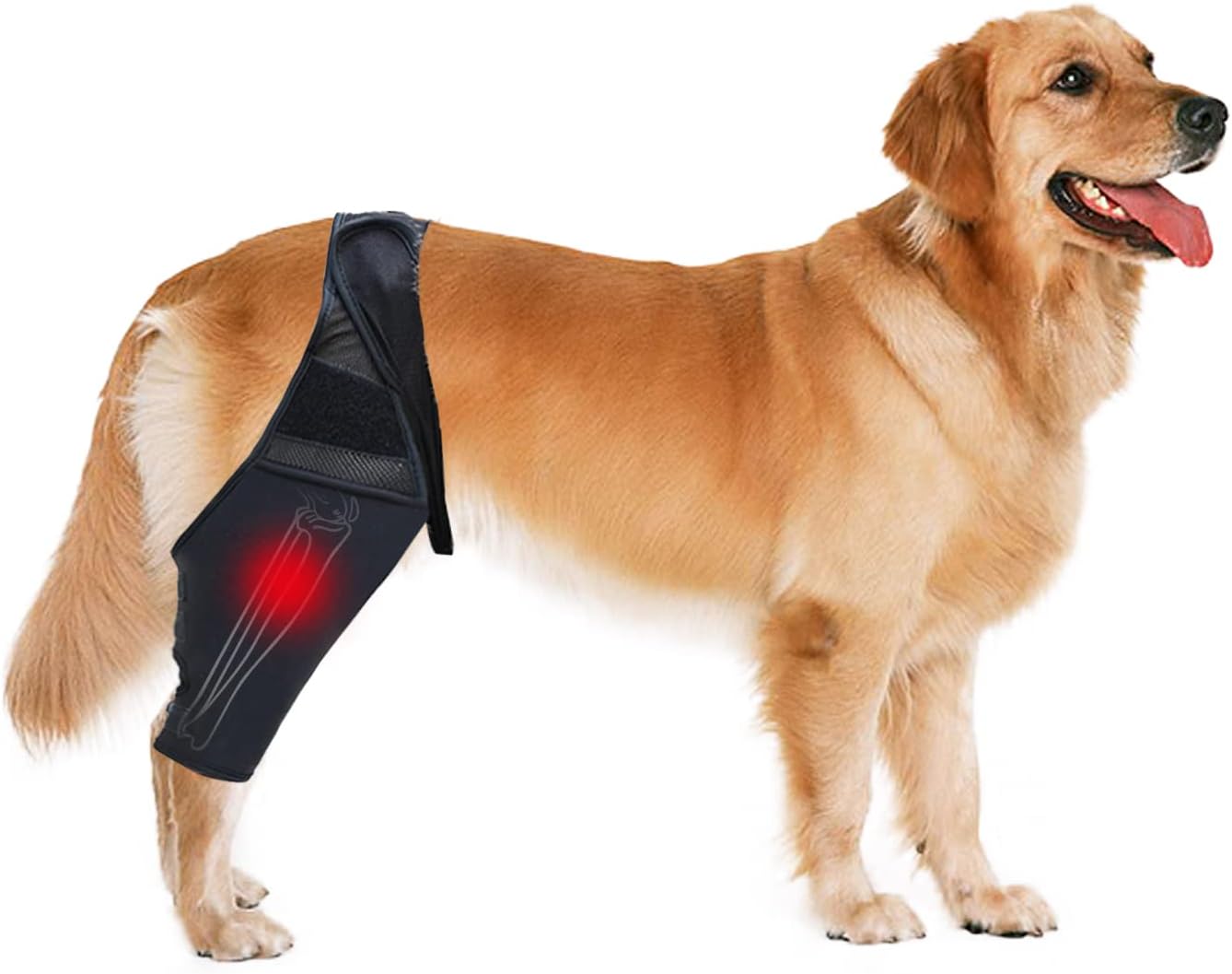 LiMMAX Dog Knee Brace Dog Leg Brace for Torn acl Hind Leg