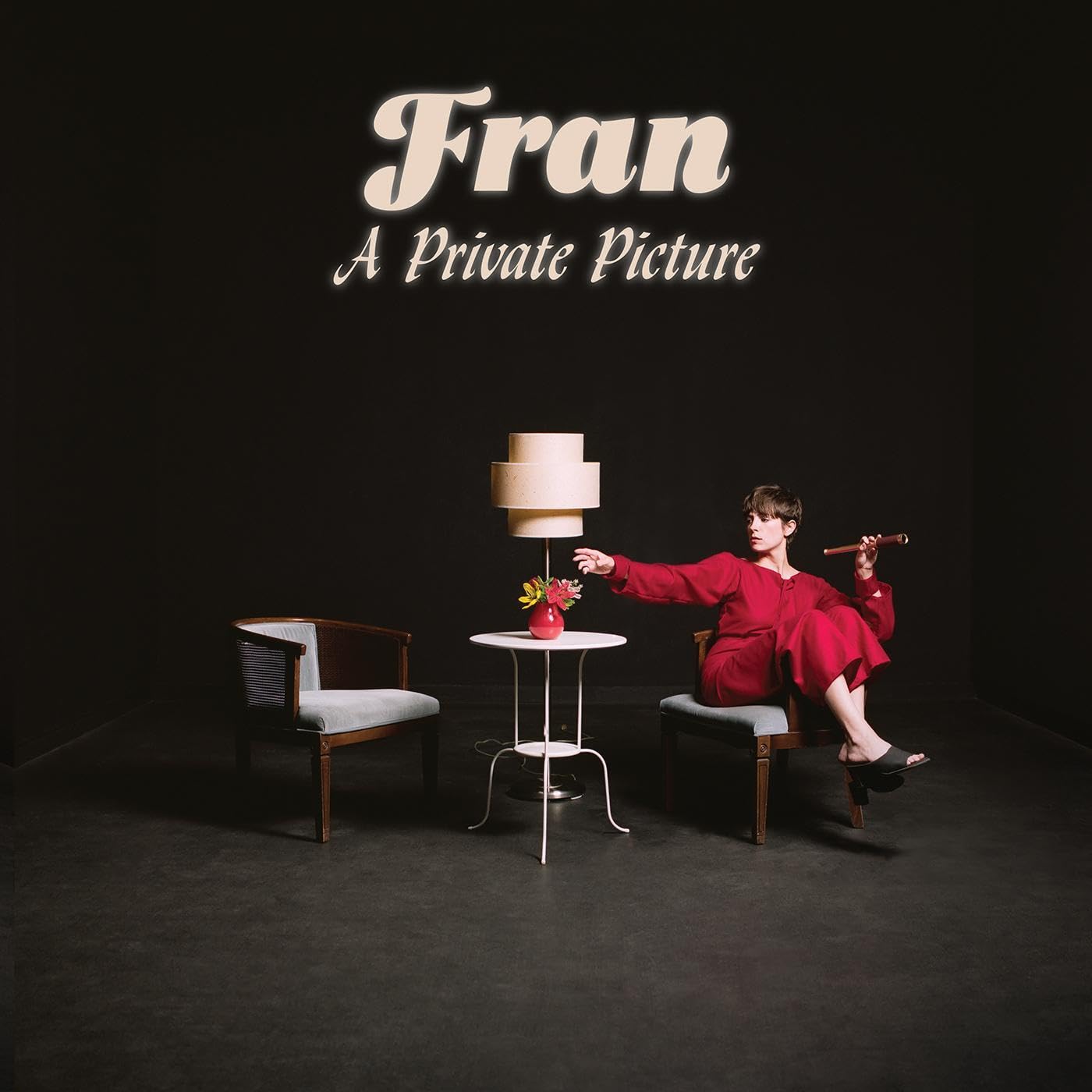 A Private Picture [VINYL]