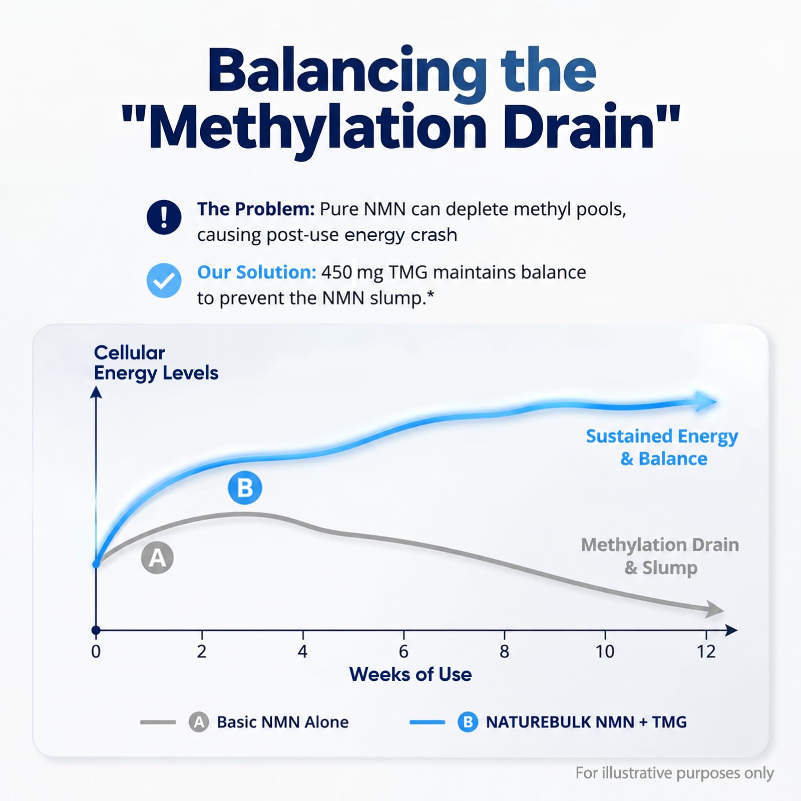 NMN 1000mg TMG - NAD+ & Methylation Support - 60 Veggie Caps — Amazon image 3