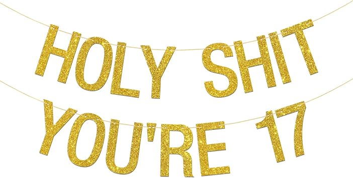 Holy Shit Youre 17 Banner, Gold Glitter, Happy 17th Birthday Bunting Banner, Teenager Birthday, Funny 17th Birthday Party Decoration Supplies