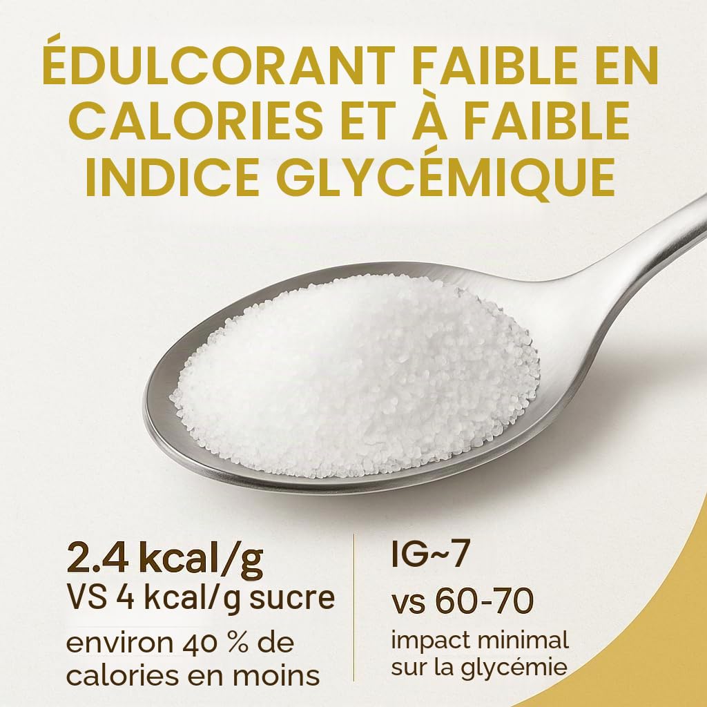 GiDeli Xylitol 5 kg - Sucre de Bouleau - Pour Boissons et Pâtisserie