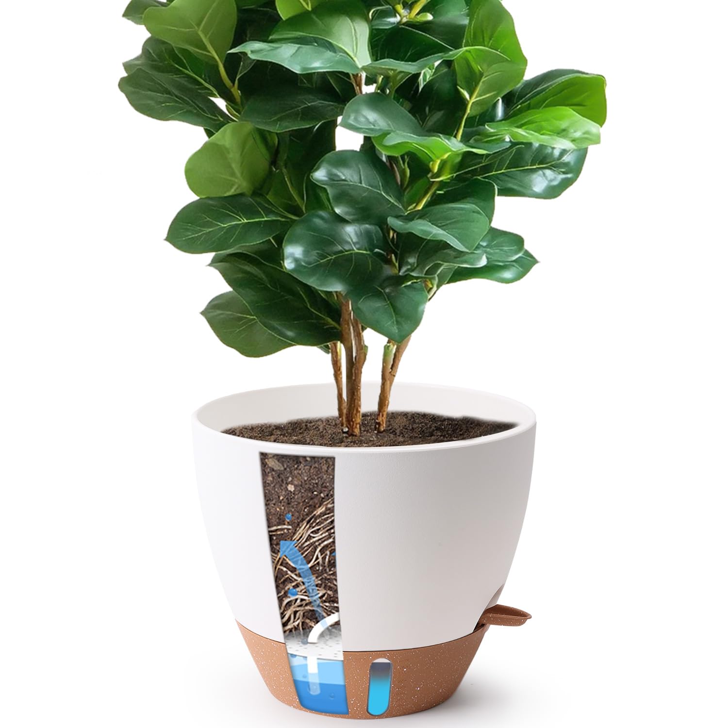 T4U 12 Inch Self Watering Pot