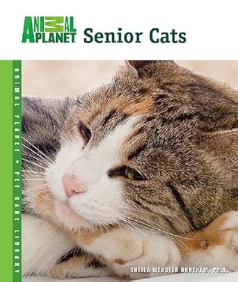 Senior Cats book cover