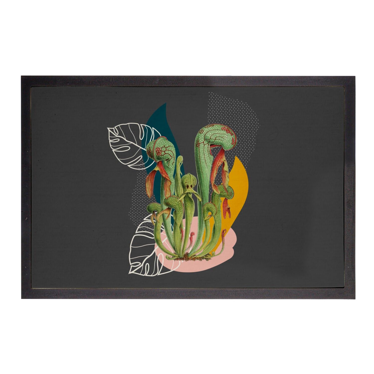 Paillasson noir Drosera jungle exotique 75x50 cm pour entrée