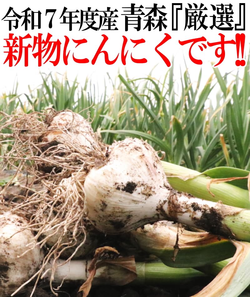Amazon.co.jp: 青森期待の新人商店 青森 にんにく 訳あり 10kg 業務用