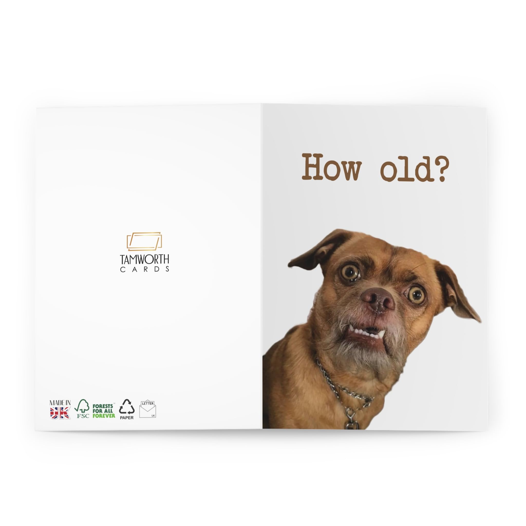 Biglietto Di Compleanno Umoristico Con Cane How Old?, 15x20 Cm, Fatto A Mano UK