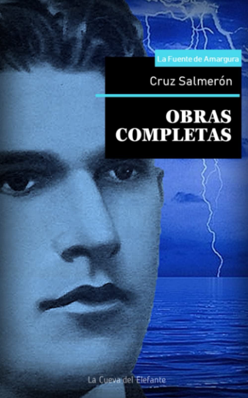 Fuente de amargura: Poesía completa de Cruz Salmerón: 5 (Literatura Clásica de Venezuela)