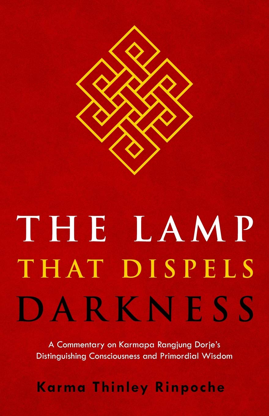 The Lamp that Dispels Darkness: A Commentary on Karmapa Rangjung Dorje's 'Distinguishing Consciousness and Primordial Wisdom'