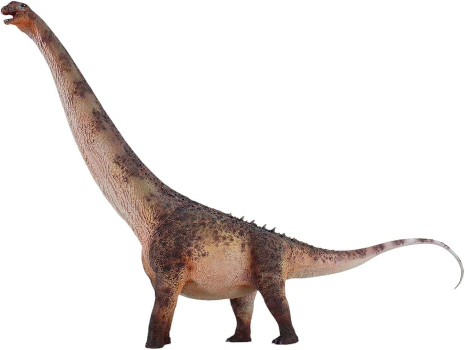 New Argentinosaurs 1：35 Science and Art Model (Wu Yong)