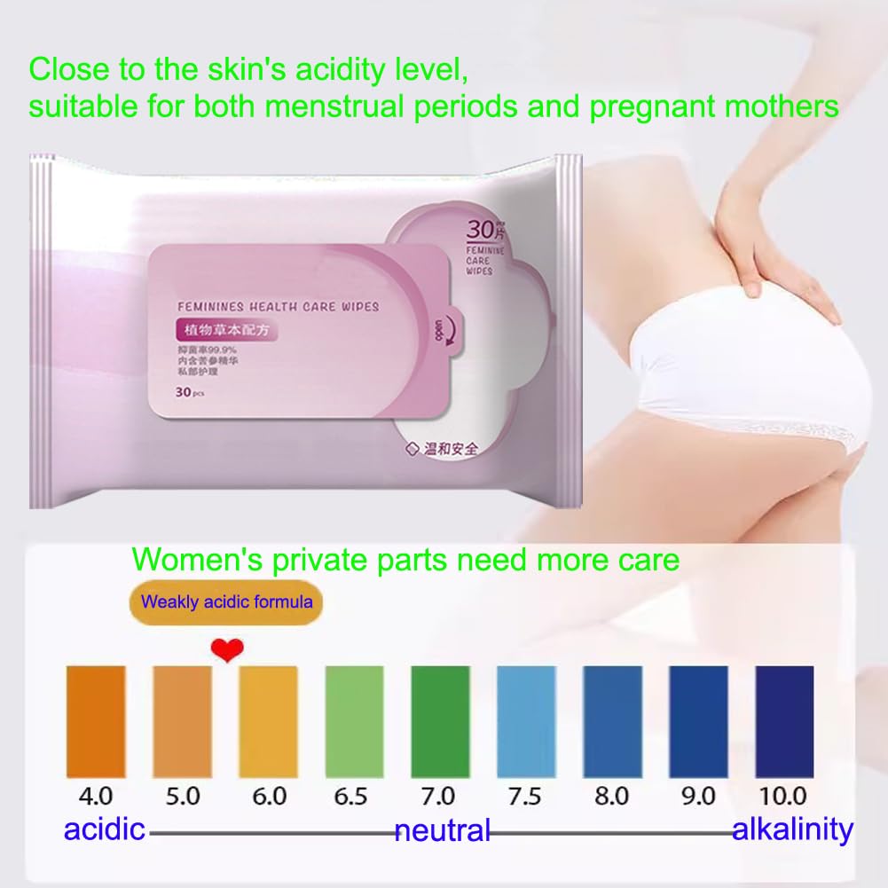 2Pack Luxury Disposable Soft Cleansing Feminine Care Wipes, Travel Cleansing Wet Wipes,Personal Cleansing Body Wipes - Gym, Hiking, Travel, Camping, Post workout Wipes for Cleansing(30Sheet per Pack)