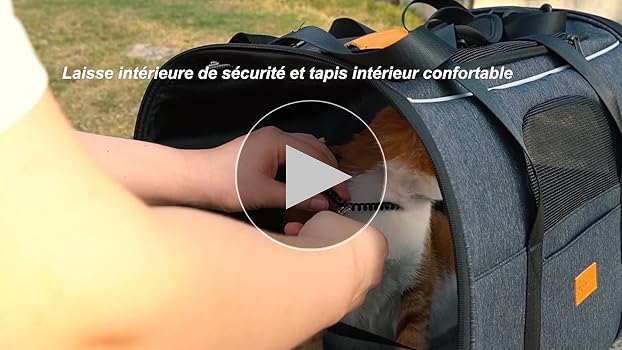 Caisse Transport Chat Chien Pliable - Sac Respirant, Matelas Amovible, Max 7kg, 44x31x34cm