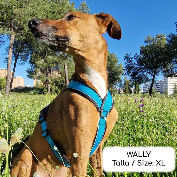 Reflektierendes Hundegeschirr in Y-Form, ideal für Lebreles: Italienischer Windhund, Whippet, Windhund, Podenco - sicher, atmungsaktiv und langlebig, perfekt zum Wandern, Training und Laufen, Rosa, L