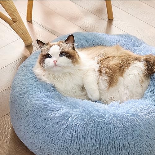 Image of Bedsure Calming Cat Beds Donut Round Washable Kitten Bed,20 inches Light Blue