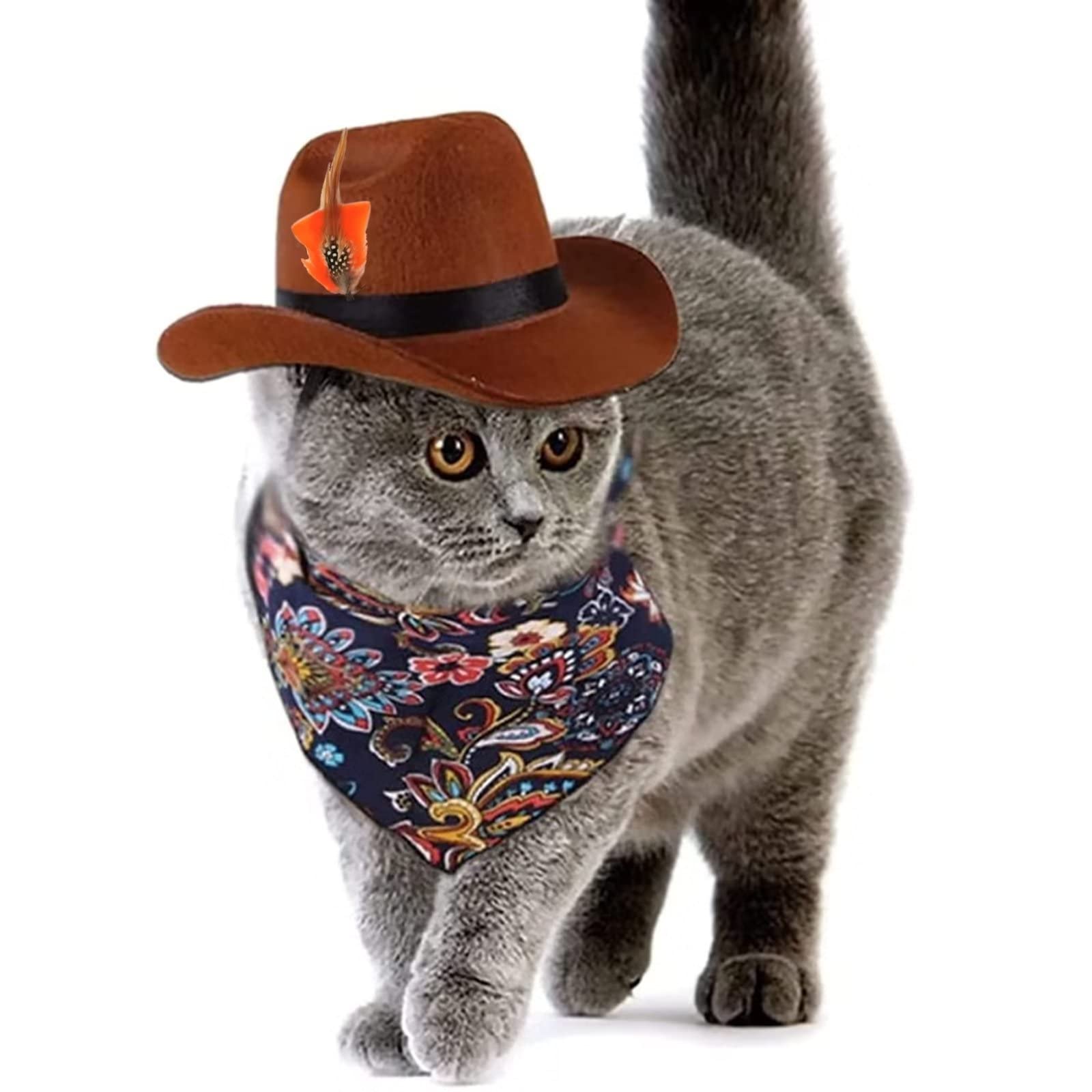 Accessori cappelli da Cowboy accessori per piume fai da te cappelli Panama per uomo e donna