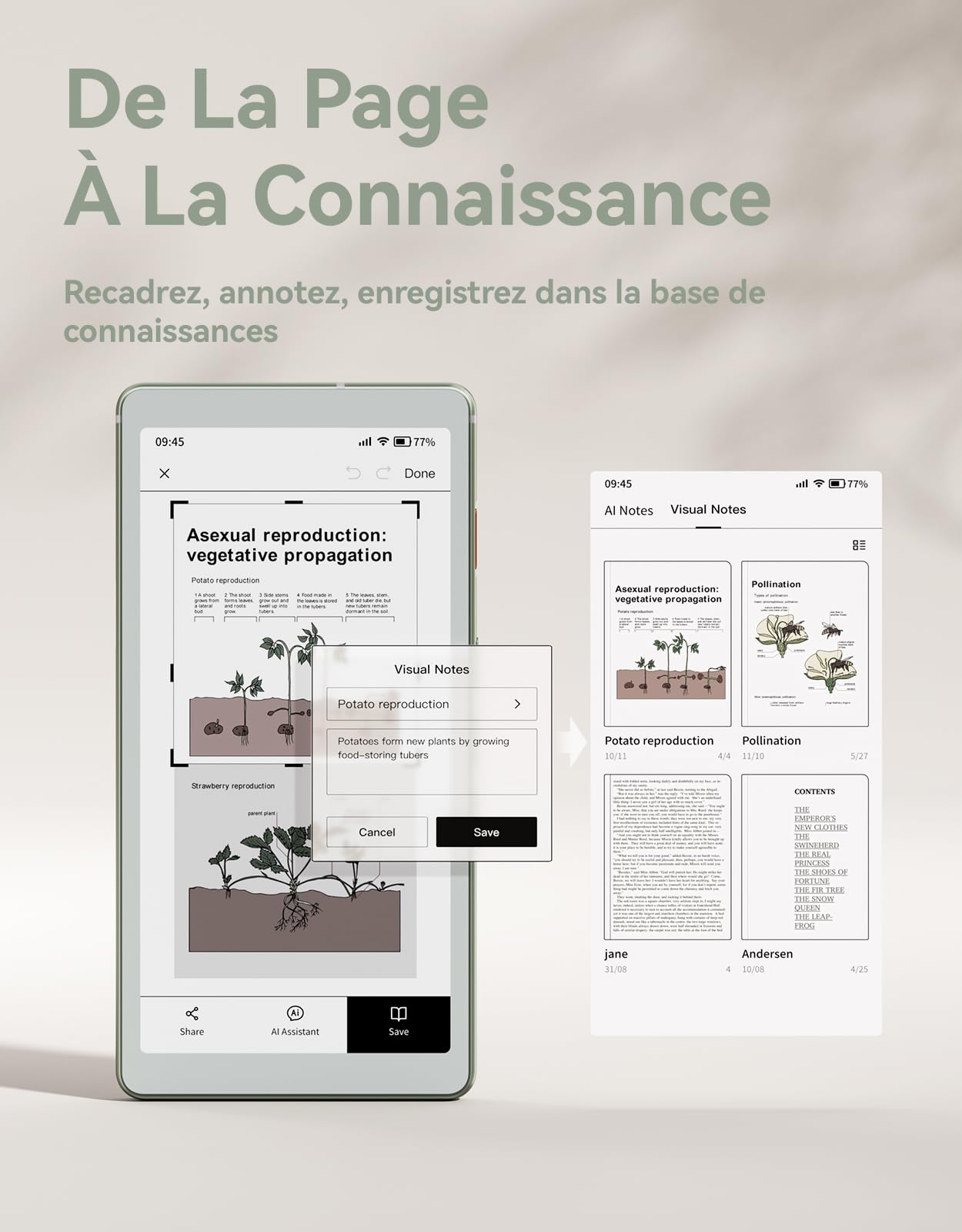 VIWOODS 6,13’’ AiPaper Reader C avec écran Couleur, liseuse E Ink avec lumière Chaude et Froide réglable, Ultra-Fin et léger, intégré à l'IA, 128 Go de Stockage