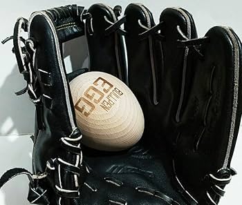 和牛JB 硬式外野手用グローブ プロティオスオイル、グローブケース付き 野球 JB 硬式グロ―ブ グラブ プロティオス オイル セット 外野用