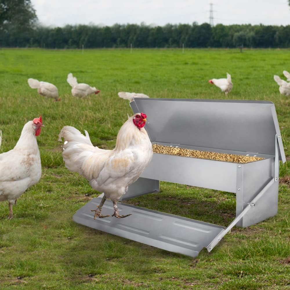 UISEBRT Comedero automático para pollos de acero galvanizado, 5 kg, comedero para aves de corral, a prueba de ratas y resistente al agua