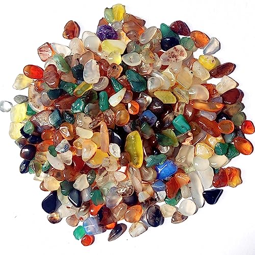 DEEDOCHY ApAANAEA0.4 kg mE  ANX^`bvX Xg[NbVNH[c NtgAԕrtB[AAA(mE)