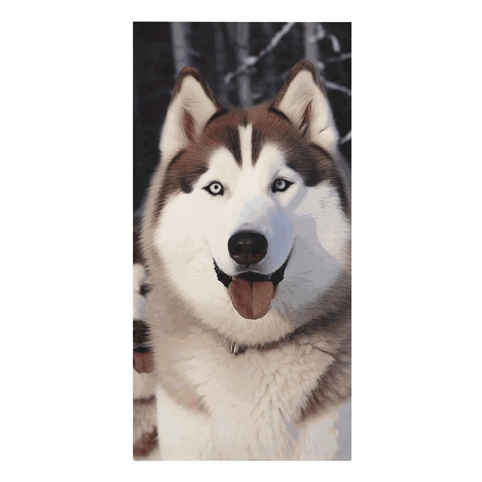 QMNLKH Huskies Beach Towel for Women, Large Microfiber Pool Towel for Men, Absorbent Swim Towels for Home, Lightweight Bath Towels for Camping, Yoga, 30.3"x61.4"