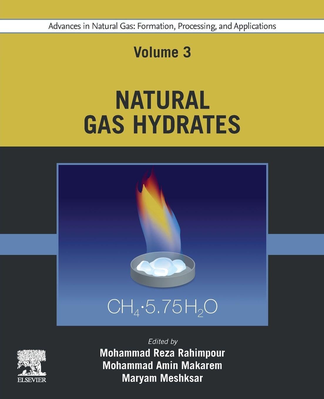 Buy Advances in Natural Gas: Formation, Processing, and Applications. Volume 3: Natural Gas Hydrates (Formation, Processing and Applications, 3) — BookShops.in